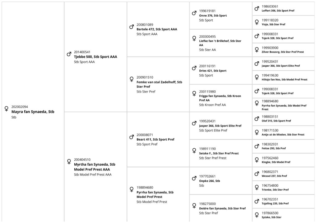 Pedigree Mayra fan Synaeda